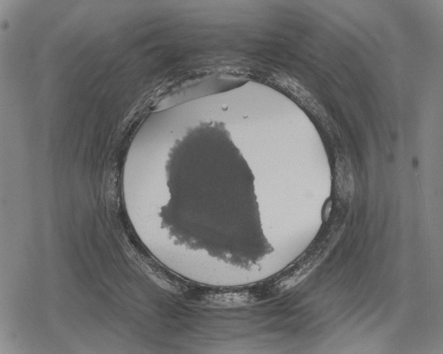 X0000079320449200612151821