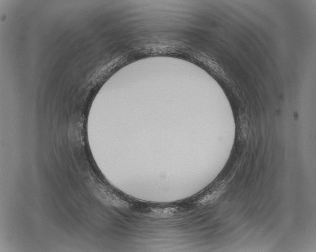 X0000079320450200612151821