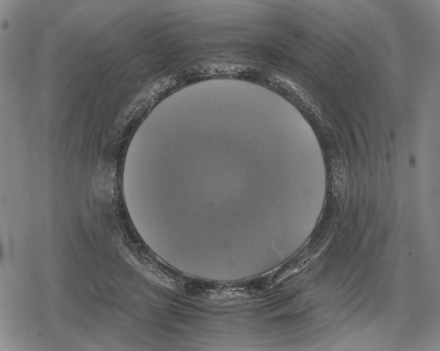 X0000079320451200612151821