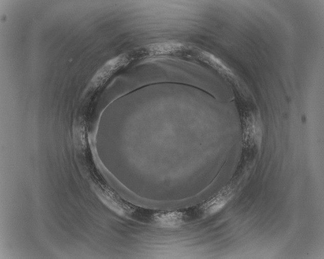 X0000079320452200612151821