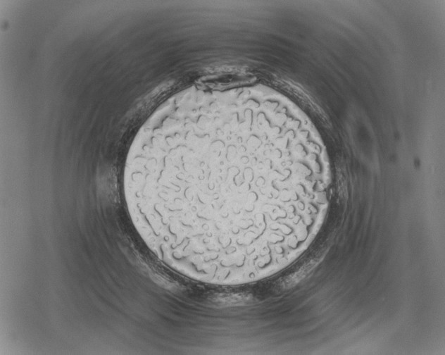 X0000079320453200612151821