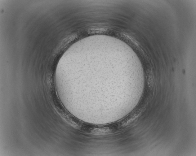 X0000079320455200612151821