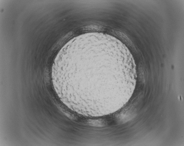 X0000079320457200612151821