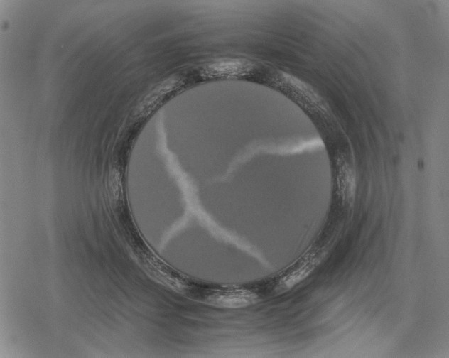 X0000079320459200612151821