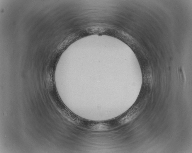 X0000079320460200612151821