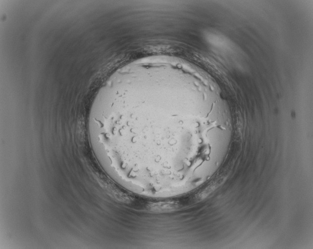 X0000079320461200612151821