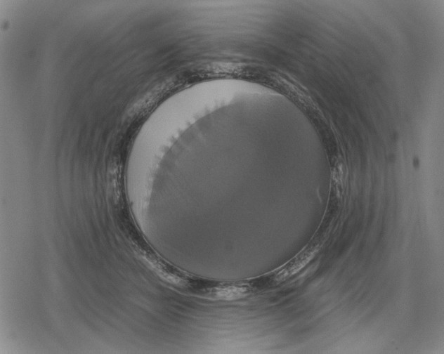 X0000079320462200612151821