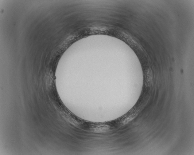 X0000079320463200612151821