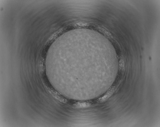 X0000079320464200612151821