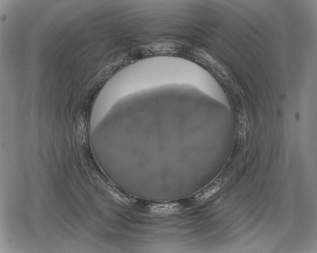 X0000079320465200612151821