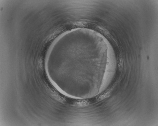 X0000079320466200612151821