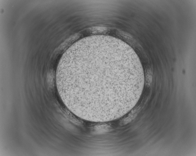 X0000079320468200612151822