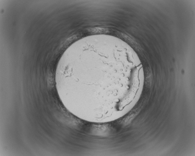 X0000079320469200612151822