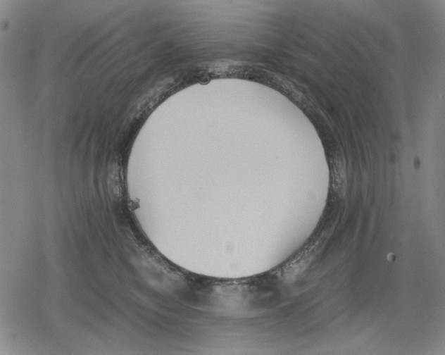 X0000079320470200612151822