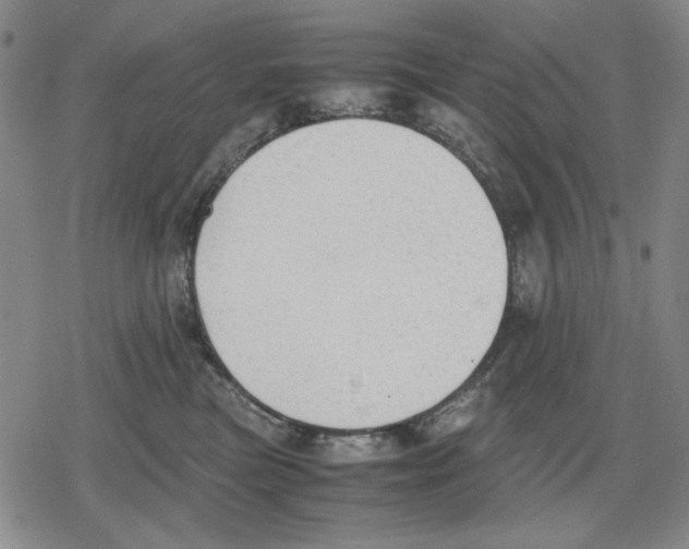 X0000079320473200612151822