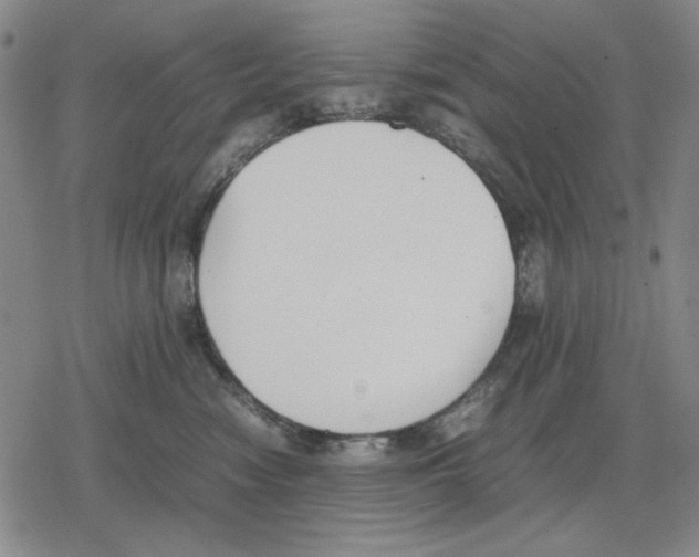 X0000079320474200612151822