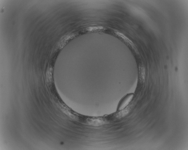 X0000079320475200612151822