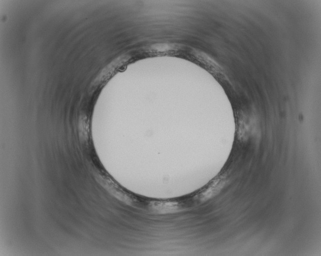 X0000079320476200612151822