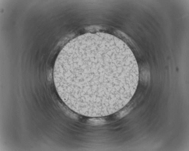 X0000079320477200612151822