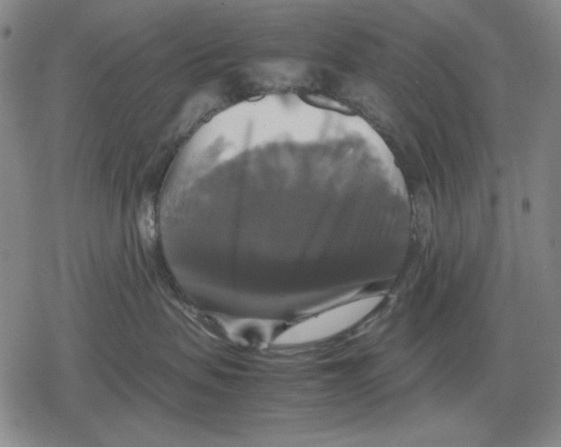 X0000079320479200612151822