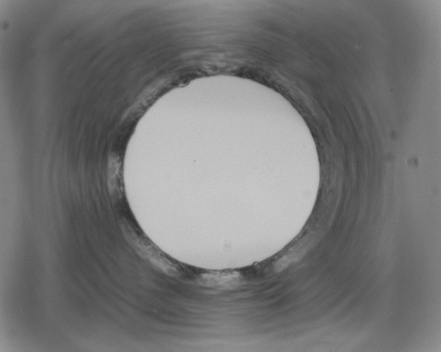 X0000079320480200612151822