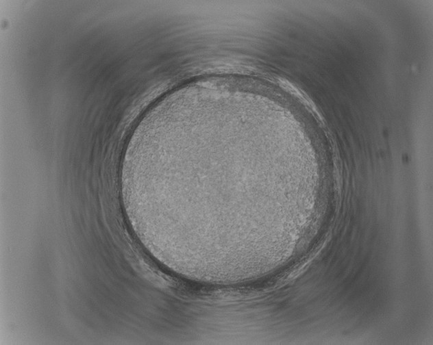 X0000079320481200612151821