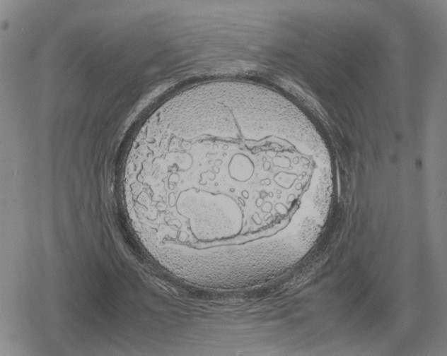 X0000079320483200612151821