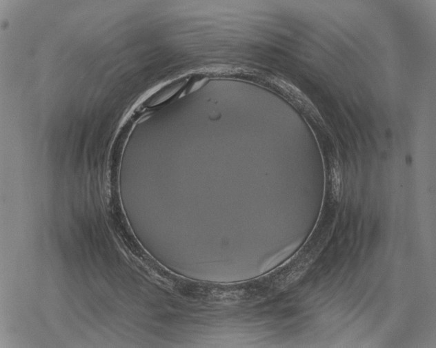 X0000079320484200612151821