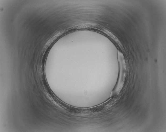 X0000079320485200612151821