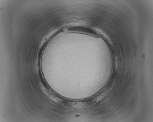 X0000079320486200612151821