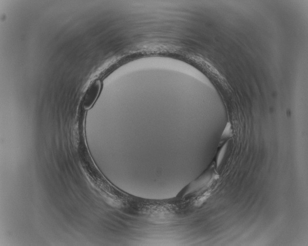 X0000079320488200612151821