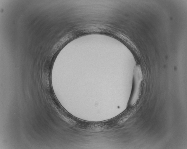 X0000079320489200612151821