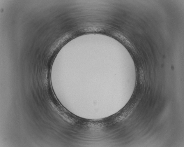 X0000079320490200612151821