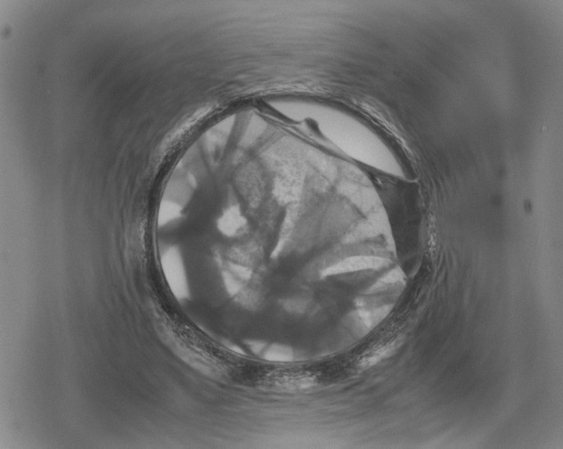 X0000079320491200612151821