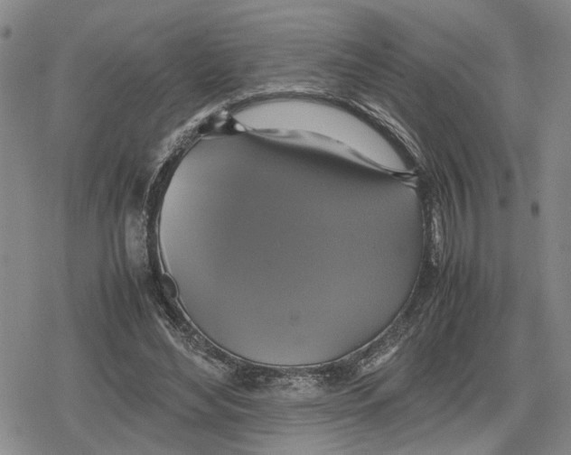 X0000079320492200612151821