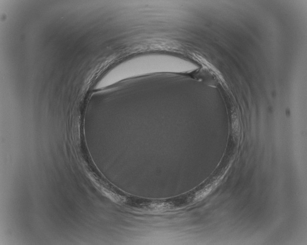 X0000079320493200612151821