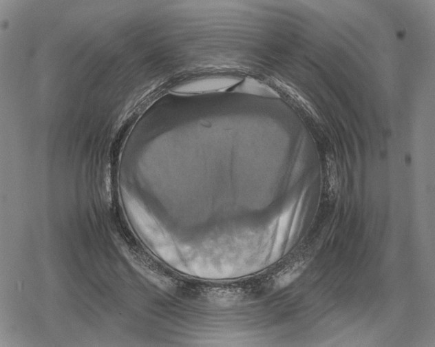 X0000079320494200612151821