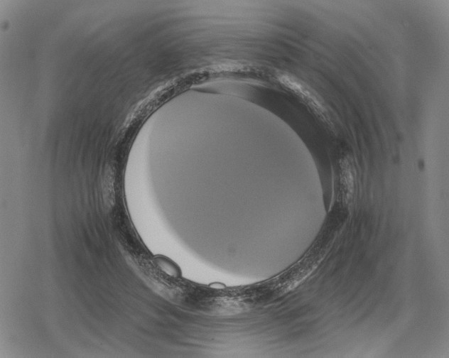 X0000079320496200612151821