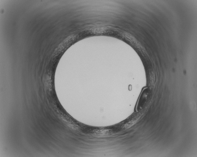 X0000079320497200612151821