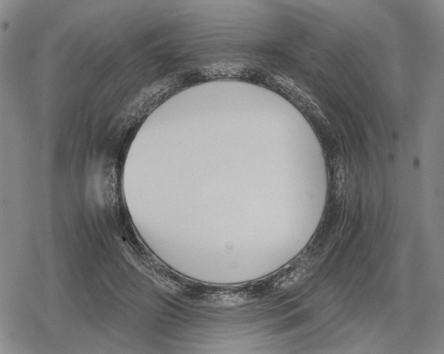 X0000079320498200612151821