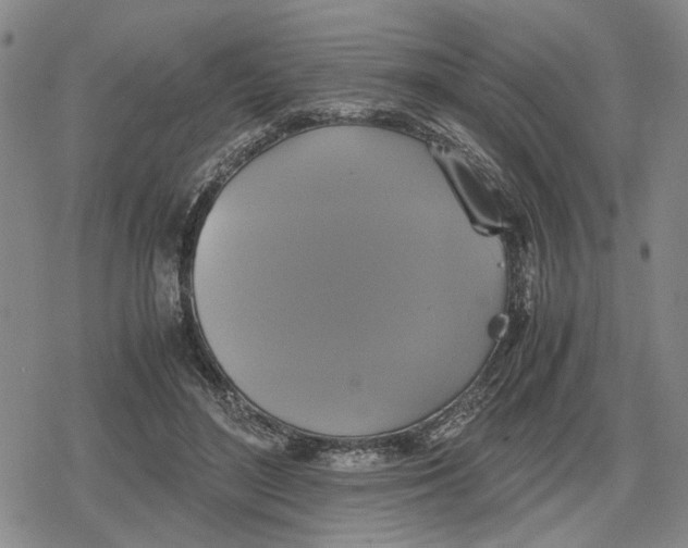 X0000079320500200612151821