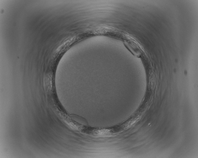 X0000079320501200612151821