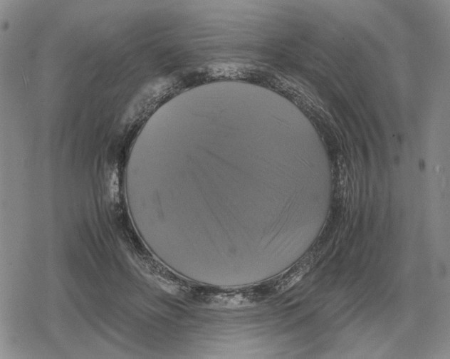 X0000079320502200612151821