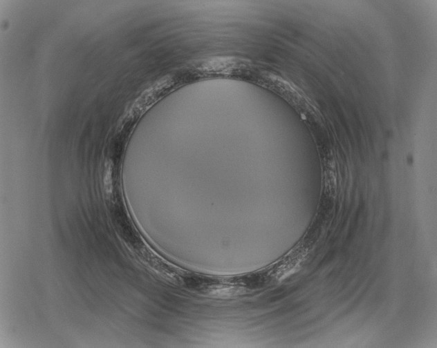 X0000079320504200612151821