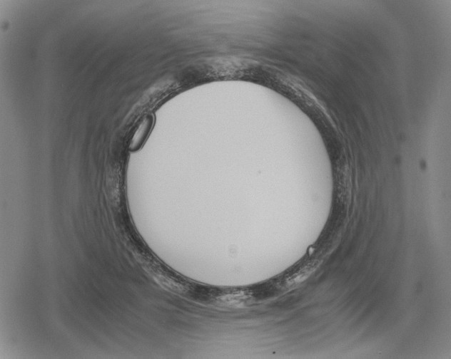 X0000079320505200612151821