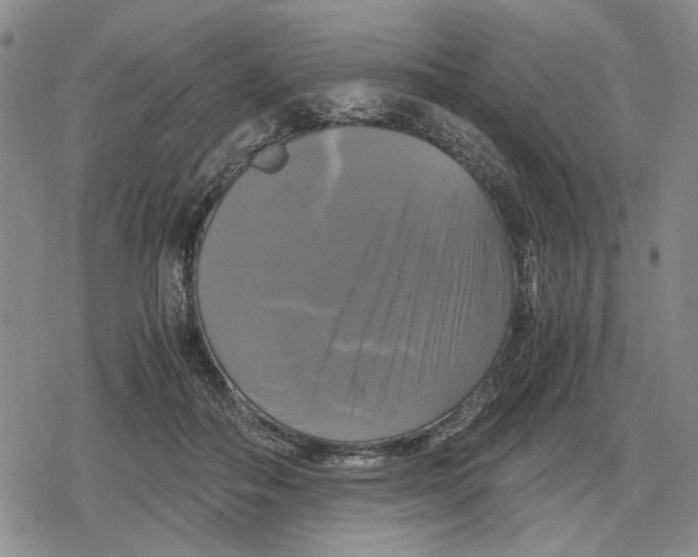 X0000079320506200612151821