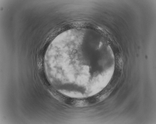 X0000079320507200612151821