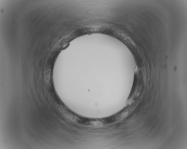 X0000079320509200612151820