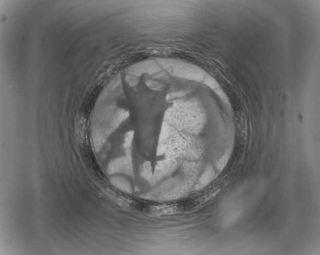 X0000079320511200612151820