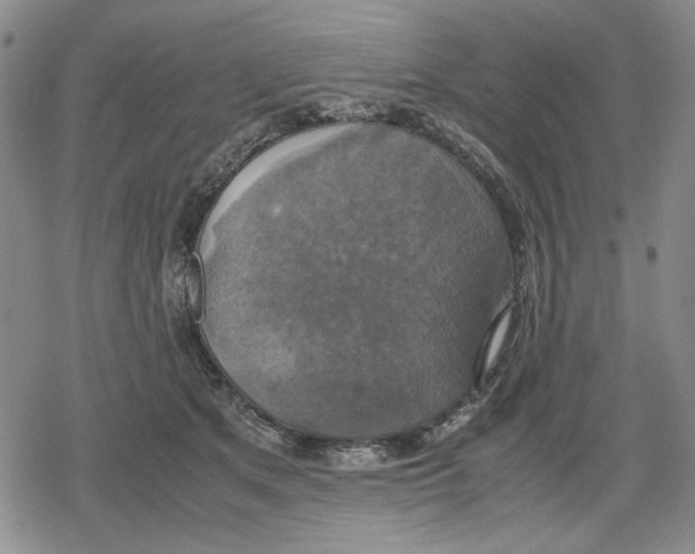 X0000079320513200612151820